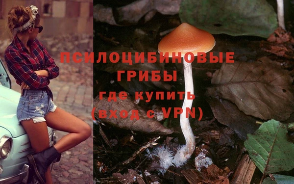 мет Баксан