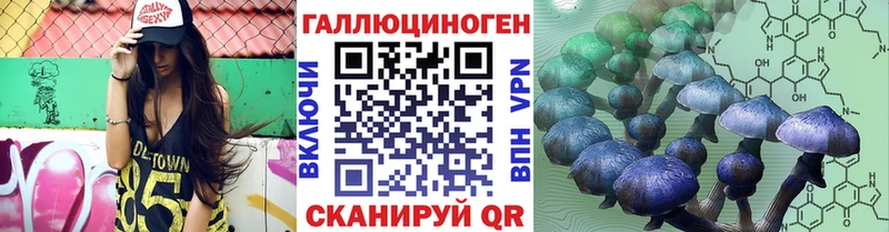 Псилоцибиновые грибы Psilocybe  цена   Вятские Поляны 